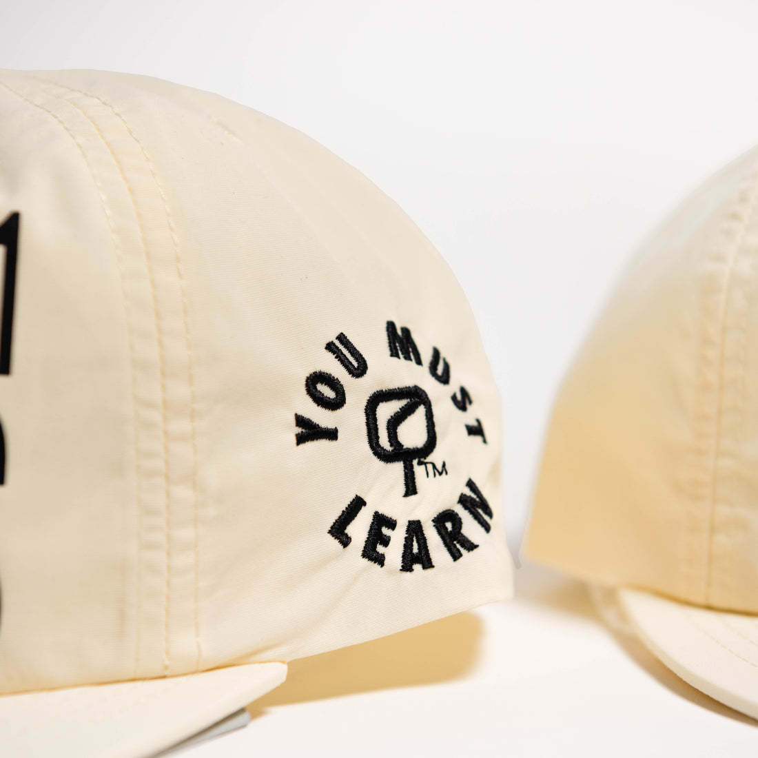 "INTRODUCTION TO BLACK STUDIES" - Snapback (Cream)